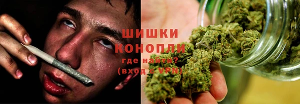 spice Арсеньев