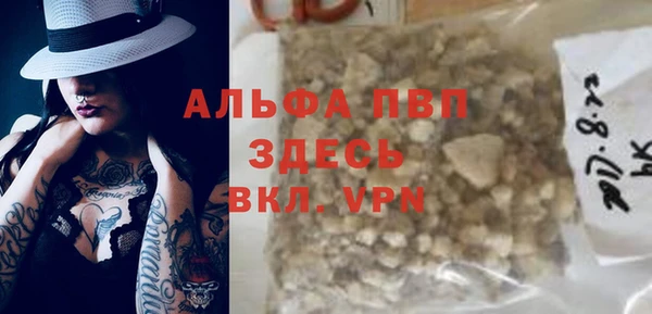 сатива Аркадак