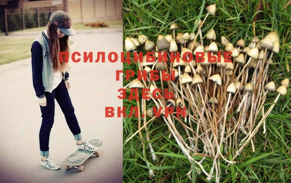 экстази Армянск