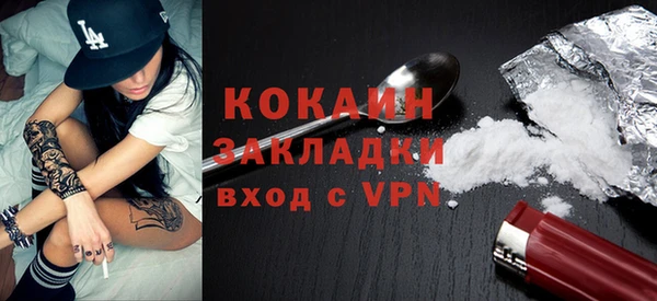 сатива Аркадак