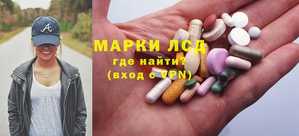 сатива Аркадак