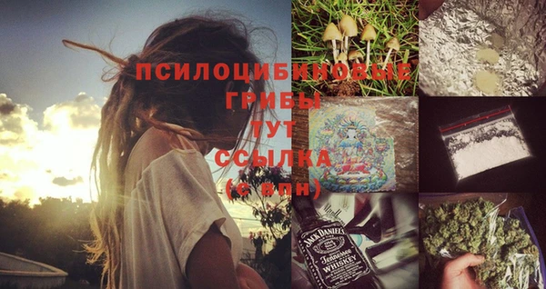 твердый Алексин