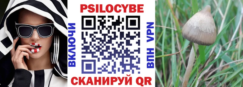 Псилоцибиновые грибы мицелий  Дюртюли 