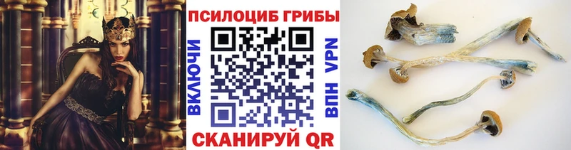 Галлюциногенные грибы MAGIC MUSHROOMS Дюртюли