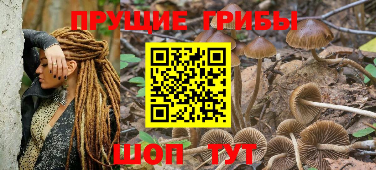 Псилоцибиновые грибы Psilocybine cubensis  Вход с VPN  Галлюциногенные грибы прущие грибы  Дюртюли 